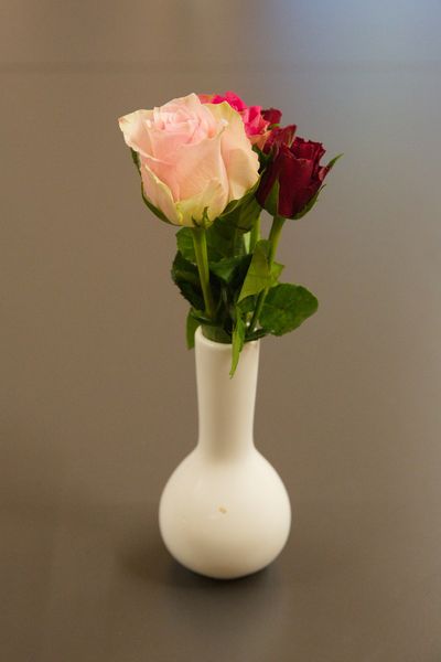 MMWS 2026 - Impressions